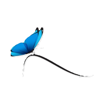 Logo papillon bleu